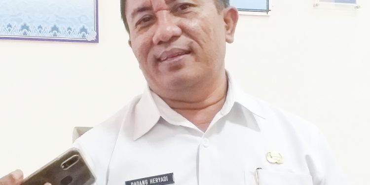 Virus Corona Menjadi Penyebab Harga Bawang Putih Melambung