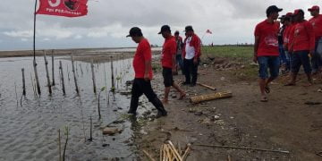 DPC PDI Perjuangan Indramayu Tanam 1.000 Pohon