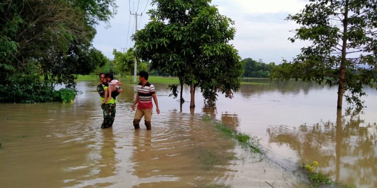 Dampak Banjir, Puluhan Hektar Sawah di Desa Sukawera Terancam Gagal Panen