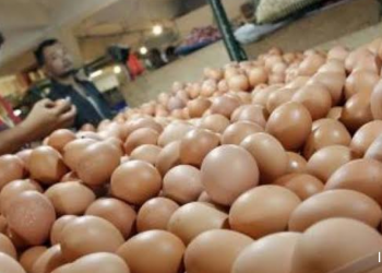 Harga Telur di Pasar Tradisional Indramayu Naik