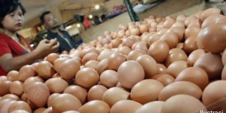 Harga Telur di Pasar Tradisional Indramayu Naik