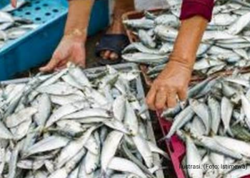 Pasokan Menurun Sebabkan Harga ikan di Indramayu Naik