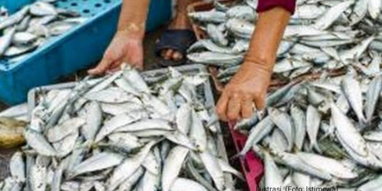 Pasokan Menurun Sebabkan Harga ikan di Indramayu Naik
