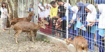 Dua Pasang Rusa Dilepas di Taman Kehati