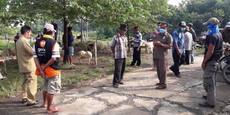 Himbauan untuk Hindari Berkerumun Tak Digubris Para Palen Domba