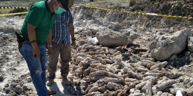 Ratusan Mortir  Ditemukan di Areal Pertambangan Pabrik Semen Palimanan