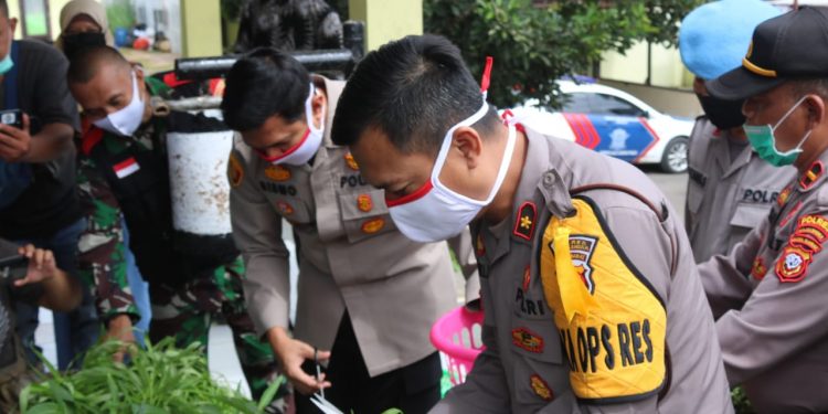 Menuju New Normal, Kapolres Majalengka Meninjau Tanaman Ketahanan Pangan di Polsek Talaga