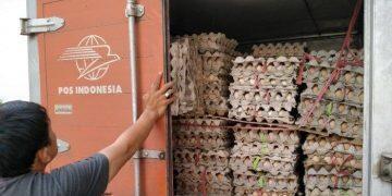 Bantuan Tak Terserap, 1,2 Ton Telur Ayam Bansos Dimusnahkan