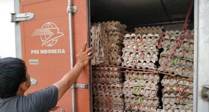 Bantuan Tak Terserap, 1,2 Ton Telur Ayam Bansos Dimusnahkan
