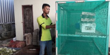 Budidaya Maggot