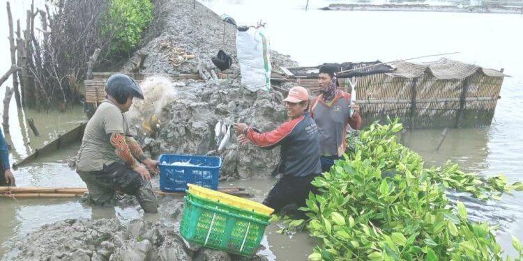 Ribuan Hektar Tambak Terendam Banjir Rob