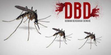 5 Kecamatan di Kabupaten Cirebon Rawan Kasus DBD