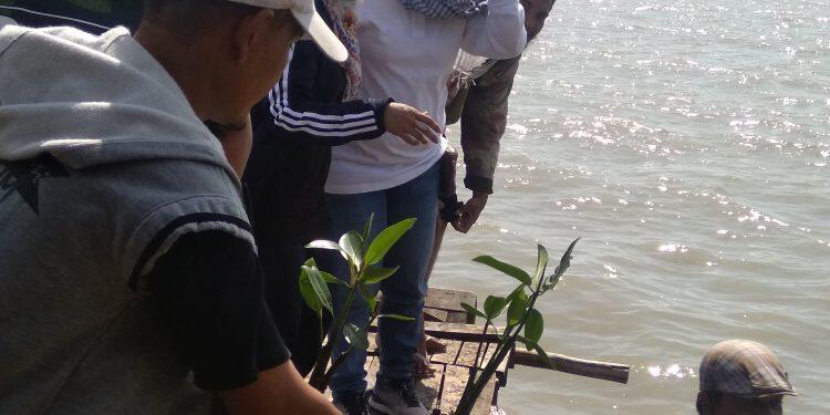 10.000 Bibit Mangrove Ditanam di Pantai Kejawanan