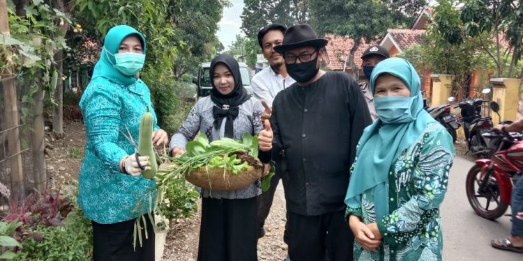 Rumah Pangan KWT Dwi Arum Panen Perdana Sayuran