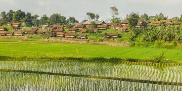 Bupati Kuningan Dukung Desa Cibuntu Maksimalkan Potensi Pertanian