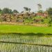 Bupati Kuningan Dukung Desa Cibuntu Maksimalkan Potensi Pertanian