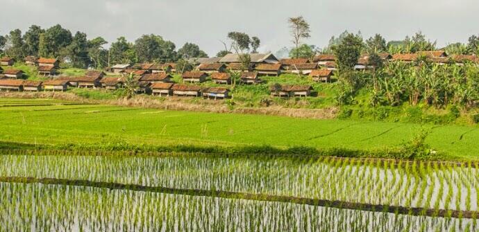 Bupati Kuningan Dukung Desa Cibuntu Maksimalkan Potensi Pertanian