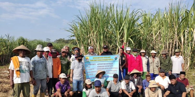 Tingkatkan Perekonomian Rakyat, Pemdes Waleddesa Canangkan Bangun Jalan Usaha Tani