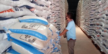 Bulog Jamin Ketersediaan Pangan Mencukupi hingga 18 Bulan Kedepan