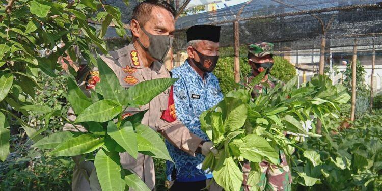 Galakan Ketahanan Pangan, Polresta Cirebon Instruksikan Seluruh Polsek Manfaatkan Lahan Tidur