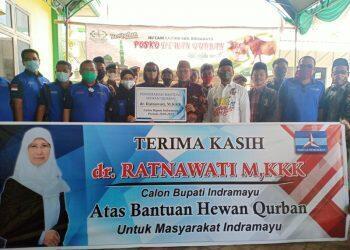 Bacalon Ratnawati Serahkan Hewan Kurban ke Partai Koalisi