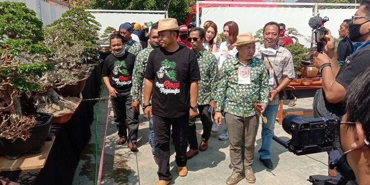Pameran Bonsai di Majalengka Diikuti Ratusan Peserta se-Jabar