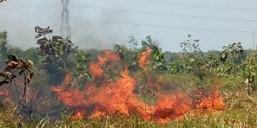 Kebakaran Lahan Hampir Melahap Pemukiman Warga
