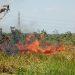 Kebakaran Lahan Hampir Melahap Pemukiman Warga