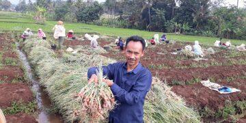 Integrasikan Ternak dan Pertanian, KOMPOS Tawarkan Konsep Integrated Farming