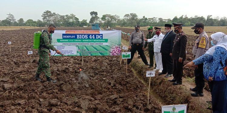 Koramil Ligung Dukung Ketahanan Pangan dengan Terapkan Teknologi Bios 44 DC