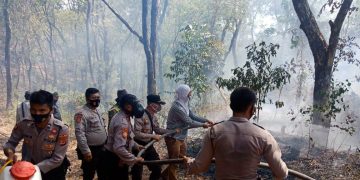 7 Hektar Lahan TNGC Terbakar