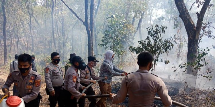 7 Hektar Lahan TNGC Terbakar