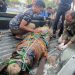 Petugas Damkar Tangkap Buaya Berukuran Panjang Dua Meter