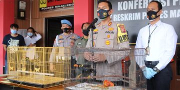 Polres Majalengka Amankan Dua Pria Penjual Satwa Lindung