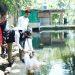 Wabup Tebar Bibit Ikan Koi di Desa Ragawacana