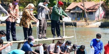Uu Ruzhanul Tebar Benih Udang dan Ikan Bandeng di Pangandaran