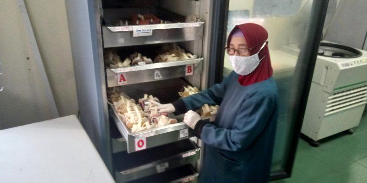 Pandemi, PMI Kota Cirebon Alami Kelangkaan Stok Darah