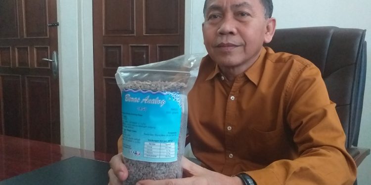 Beras Analog Solusi Kurangi Konsumsi Karbohidrat