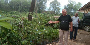 Menuju Desa Wisata Alam, Pemdes Sumurkondang Tanam 6.000 Bibit Pohon