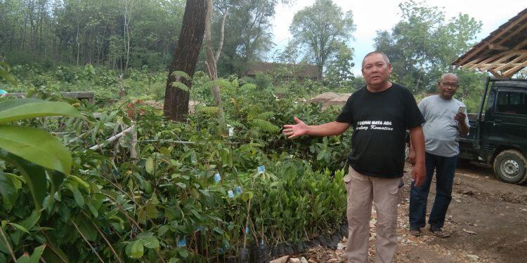 Menuju Desa Wisata Alam, Pemdes Sumurkondang Tanam 6.000 Bibit Pohon