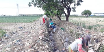 Pemdes Ciledug Tengah Bangun Jaringan Irigasi Tersier