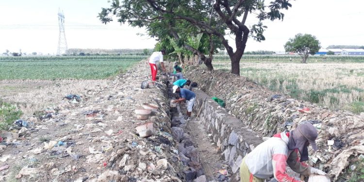 Pemdes Ciledug Tengah Bangun Jaringan Irigasi Tersier