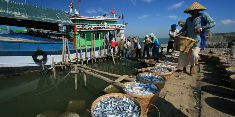 1.300 Nelayan dan Petani Bakal di Swab