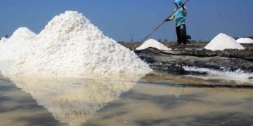 50 Ribu Ton Garam Petambak Tak Laku Dijual