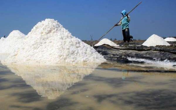 50 Ribu Ton Garam Petambak Tak Laku Dijual