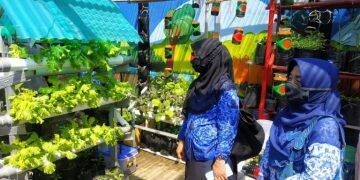 Urban Farming, Solusi Bercocok Tanam di Perkotaan