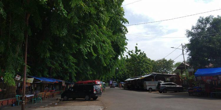 Pohon Besar di Sekitar Alun-alun Kasepuhan Rawan Saat Hujan – Angin
