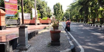 Percantik Jalur Protokol, DLH Pasang Lampu Taman