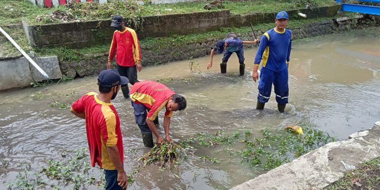 Cegah Luapan Air, BBWSCC Bersihkan Saluran Sekunder di Wilayah Talun