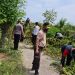 Antisipasi Bencana Banjir, Polsek dan Perangkat Desa Bersihkan Eceng Gondok